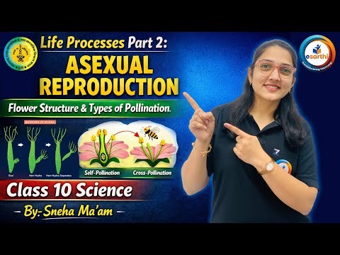 Life Processes Part 2 : Asexual Reproduction | Flower Structure and Types of Pollination |