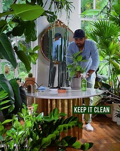 repotting is a dirty job, but plant-powered cleaning ingredients make staying clean easy. | method products
