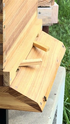 Autoflow bee hive - Day 9