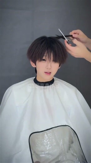 Cute Curly Dog & Girl in Attractive Scene