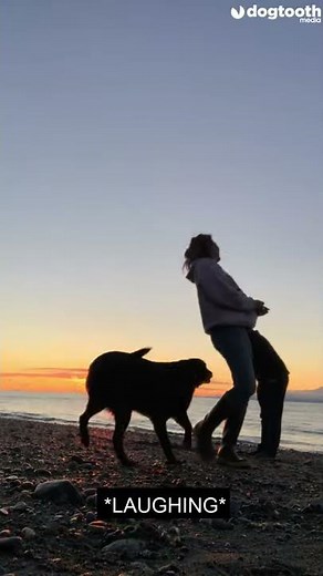 Dog Interrupts Couple's Romantic Selfie by Peeing on Phone || Dogtooth Media
