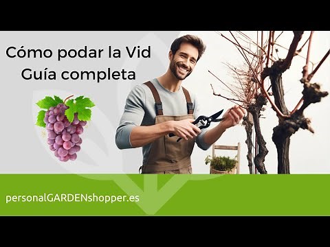 Cómo podar la Vid. Guía completa