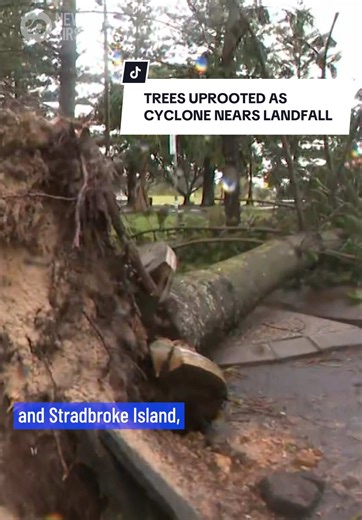 Tropical Cyclone Alfred has started to tear across south east Queensland, with the eye of the storm edging closer to the coast. Meteorologist Josh Holt explains what we should expect to see through the night. Stay up to date on all of the latest with Cyclone Alfred on 10 News First and at the link in bio. #cyclone #alfred #update #queensland #10newsfirst
