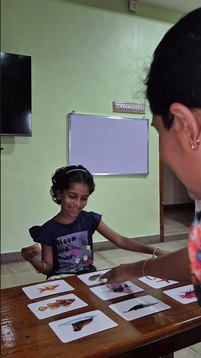 RBE Flash Cards Game | Fun Learning Activity for Kids | #toddlerlearning