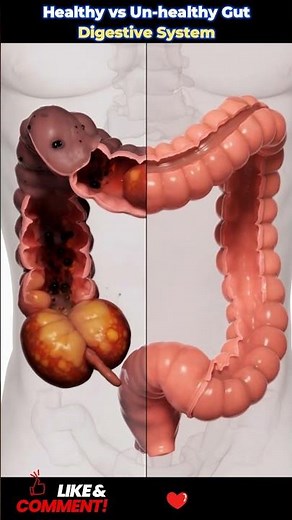 #DigestiveSystem #HumanAnatomy #EducationalVideo