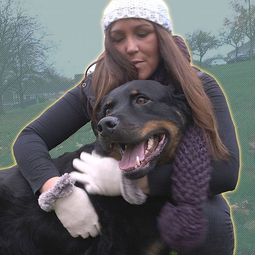 Gemma knew if she left her violent partner, he would hurt her beloved dog Dusty. Then an amazing person stepped in to help. **Some of the content in this video viewers may find upsetting** | BBC Stories