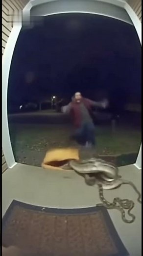 HISS! Porch Pirate Pirate gets SLITHERY Bait Bag Karma! Like and Subscribe!!!