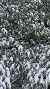 More snow is on the way! | Presque Isle State Park