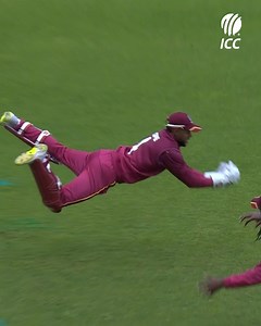 3.2M views · 30K reactions | Full stretch 理 Shai Hope's stunner on this day at ICC Cricket World Cup 2019  | ICC - International Cricket Council | Facebook