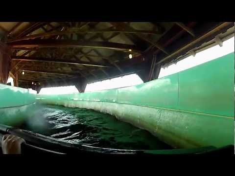 Cedar Point - Snake River Falls POV