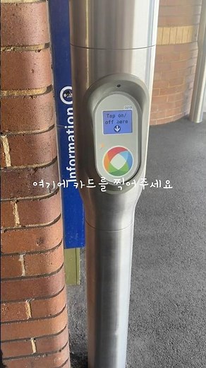 호주 시드니 유학생 필수 교통카드, Opal 카드 200% 활용법