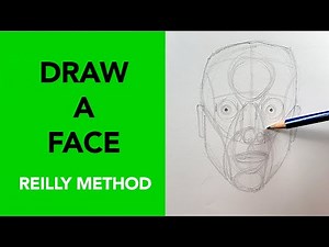 Draw the Face Using the Reilly Method (Beginner-Friendly Guide)