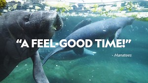 1.4K views · 102 reactions | Take another behind-the-scenes trip at The Wilds and the Columbus Zoo and Aquarium on the next episode of Secrets of the Zoo, airing tomorrow at 9/8c on Nat Geo Wild! 漣歷 | The Wilds | Facebook