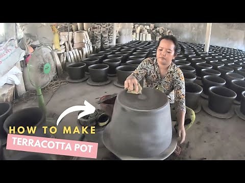 How to make a terracotta pot in 5 easy steps
