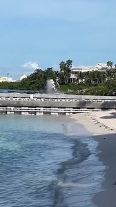 Free Willy 🤣🤣🤣 ________________________________ Follow us on Facebook and Instagram ⬅️ Inspiration page photos are not mine Repost-->tag @today.yacht Turn on the notifications and Stay beautiful © All right for creator DM for removal #luxuryyacht #modernboats #jcraft #modernboat #yachtdesign #modernart #yachtdaily #boatlife #superyacht #summertime #charteyacht #rentayacht #yacht #classicboat #classystyle #classicyacht #boating #woodboat #luxuryyachts #decor #luxury #style #luxurylifestyle #me