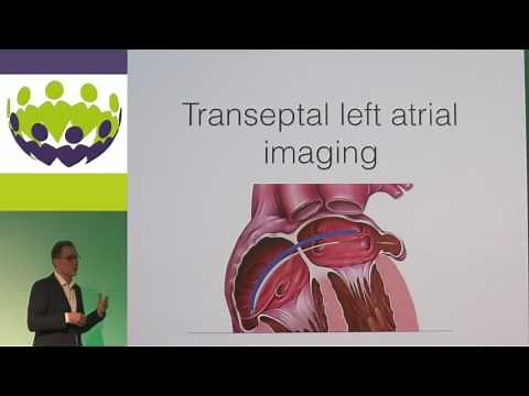 Niels Vejlstrup - When is ICE a good imaging modality, and when it is not?