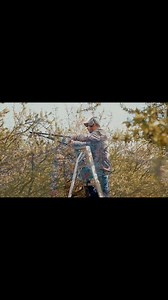 A lo mejor volver ya no estaba en sus planes,a lo mejor solo quería estar allá✍🏼 #TraviezozDeLaZierra #jesusojedaysusparientes | Traviezoz De La Zierra