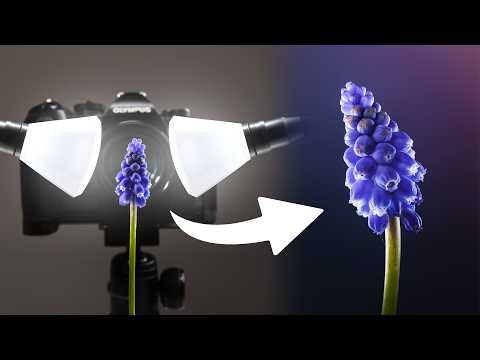 I Tried Flower Macro Photography For The First Time