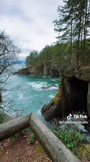 Exploring Forks and Olympic National Park: A Trip Guide