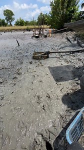 seneng banget liatnya | Riki Andrian