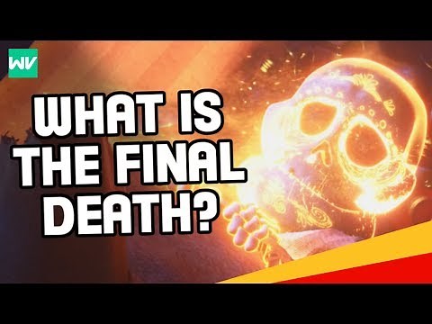 Coco Theory: What Is The Final Death?