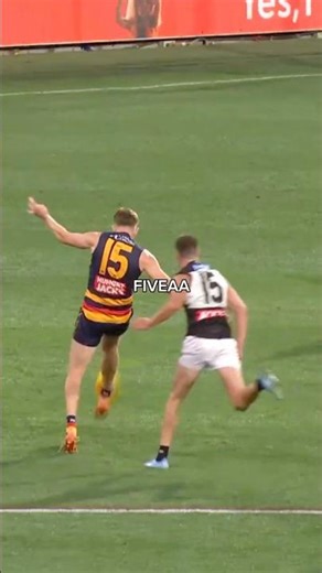 the showdown winner in ALL it’s glory 😍 #afl #adelaidecrows #showdown