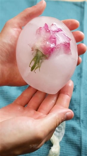 Surprising Guests with THIS Unusual Concept! | 5-Minute Crafts