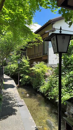 美しき郡上八幡の夏の風景と自然の魅力
