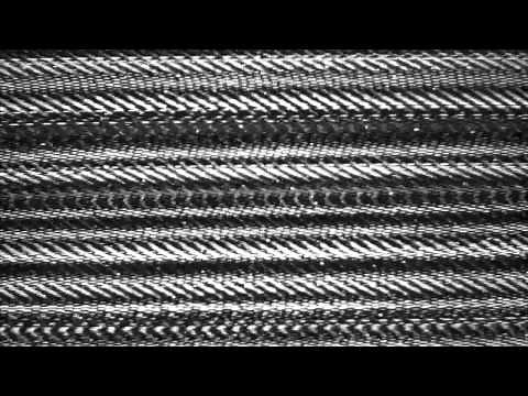 SCP-682 - Addendum 682-B