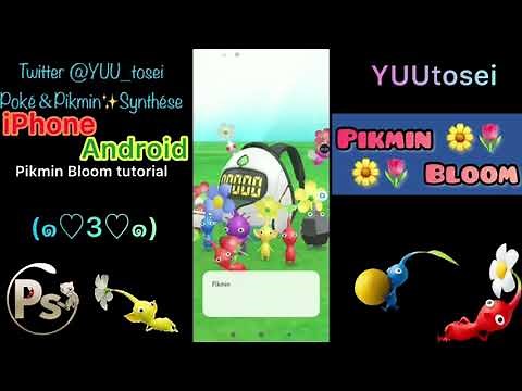 Let's start Pikmin Bloom (Install and tutorial)