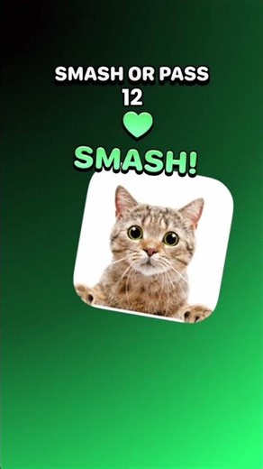 water full cat like and subscribe please