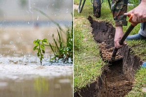 La « Plantation d’eau de pluie » : une méthode éprouvée pour lutter efficacement contre la sécheresse