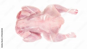 Packaging and Freezing of Chicken Carcass. Whole fresh chicken is vacuum packed and rapidly chilled with an ice jet, creating a white steam effect on a white background