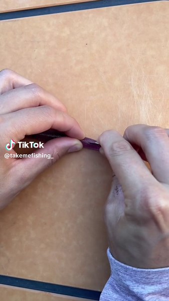 Take Me Fishing on TikTok