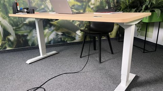 Desktronic HomePro: Vor- und Nachteile