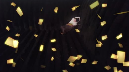 Robyn christiansen (@rcbanks69)’s videos with Bright and fun upbeat pops, Kids, Animals, Pets, Fun, Cute, Happy, Playful, Upbeat(1465232) - SAKUMAMATATA