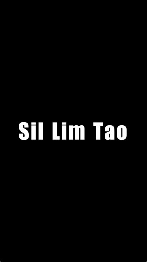 The first form of Wing Chun "Sil Lim Tao" which translates to "Little Idea" is the foundational form. It teaches beginning concepts, principles and applications of the Wing Chun system. | Flathead Wing Chun KUNG FU