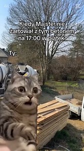 80K views · 375 reactions | #memy #budowa #budowadomu #robota #bielbud | Bielbud | Facebook