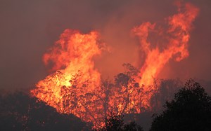Records Show Idyllwild Response to $25M Mountain Fire was Delayed