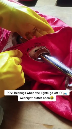 Dealing with Bedbugs When the Lights Go Off