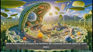 Nitrate reductase in biology