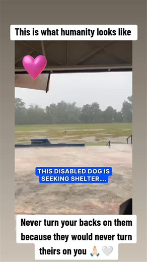 Shell777 (@777shell7)’s videos with original sound - Shell777