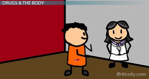 Actions of Drugs on the Body: Pharmacodynamics