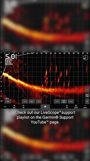 LiveScope | Garmin Support Shorts