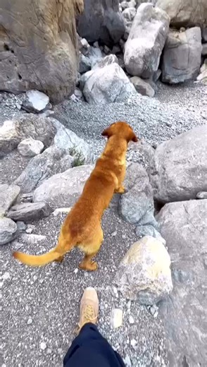 Alim Masroor (@alim.masroor0)’s videos with original sound - Alim masroor official