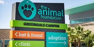 Animal Foundation: Dog humanely euthanized after Canine distemper diagnosis