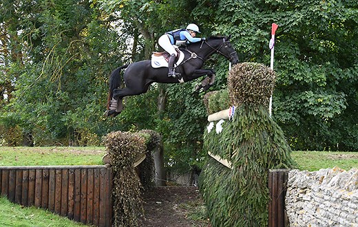 The Irish Sport Horse — all the facts about this popular breed - Horse & Hound