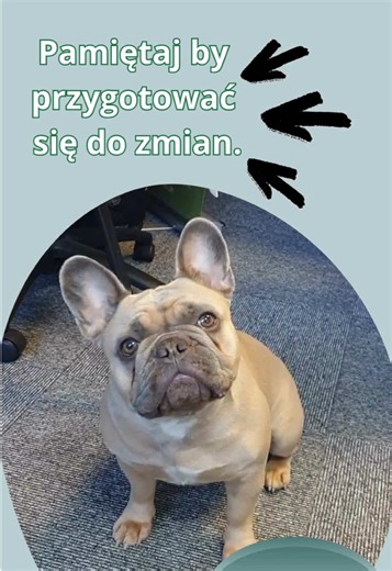 2026 = pełna digitalizacja. Większość firm nie jest gotowa. Chcesz wiedzieć, jak się przygotować? Link do spotkania w bio.
