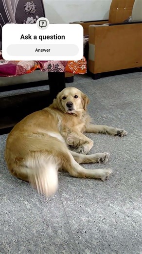 I sent you a gift from Amazon! You can track the package delivery with this link. https://amzn.eu/d/