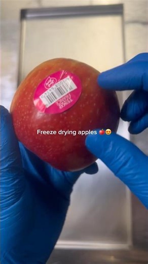 Freeze drying an apple 🍎